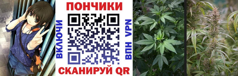 МАРИХУАНА Amnesia  Пермь 